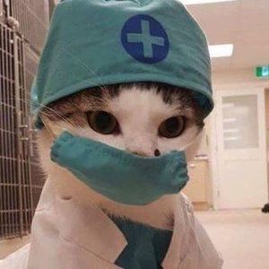 Meet your Posher, Michèle